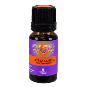 Wild-Crafted Litsea Cubeba Essential Oil from Pure Potent WOW