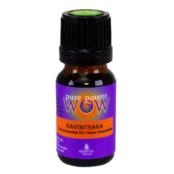 Certified Organic Ravintsara Essential Oil from Pure Potent WOW